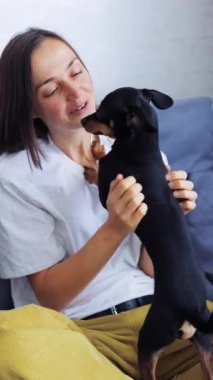 Genç bir kadının Mini Pinscher köpeğiyle etkileşim kurduğu, okşadığı, kucakladığı ve sevdiği hayvanı okşadığı mutlu anlar. Evde, kanepede köpekle oynayan bir kadın. Dikey video biçimi.