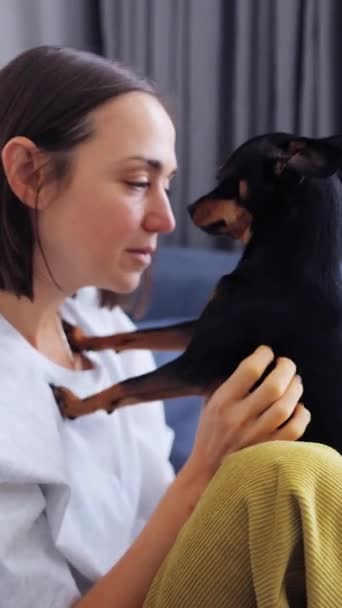 小さな犬を持つ女性のプロフィール肖像画は ソファーに時間を費やしています 飼い主が犬を抱きしめて 彼らは互いに頭を悩ませ 閉じている バーティカル映像 — ストック動画