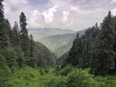 Dağları ve mavi gökyüzü olan güzel bir manzara.