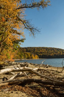 Brewster New York 'taki Doğu Şubesi Barajı