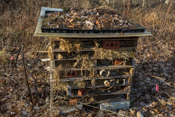 Winter Hibernation Insect Box Φωτογραφία Αρχείου