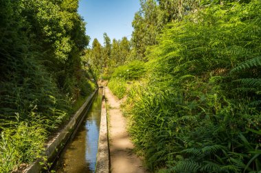 Calheta Madeira 'da Levada Nova