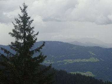 Ormandaki dağların güzel doğa manzarası.