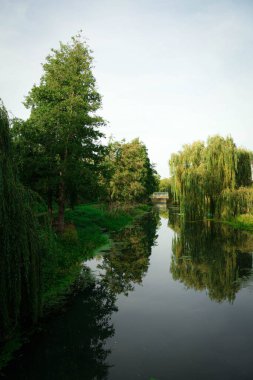 Arka planda nehir ve göl olan güzel bir manzara.