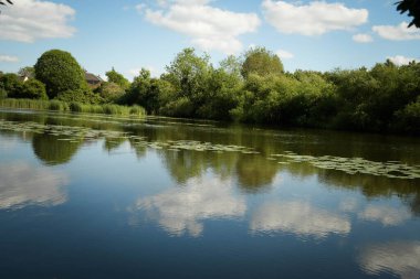 Ormandaki nehir, doğa