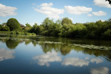 Arka planda ağaçlar olan küçük bir nehir.