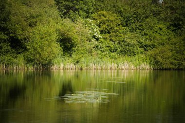 Suda yansıması olan güzel bir göl görüntüsü.