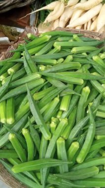 Yeşil sebze trend fotoğrafçılığı 