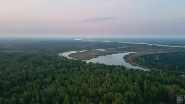 Sabahları nehir ve ormanın havadan görüntüsü.