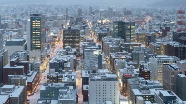 Tokyo şehrinin geceleri havadan görünüşü, Japonya