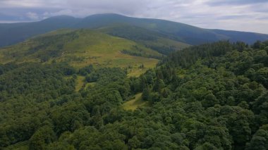 Yeşil ormanı olan güzel bir manzara.