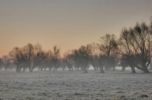  Almanya 'nın Havelland bölgesinde kış sonu ya da ilkbaharın başlarında, söğüt ağaçlarıyla benekli sakin sel ovalarıyla tanınır. Mevsimlerin gelişen tomurcuklarla, sakin sularla ve bu manzaranın sessiz güzelliğiyle değişimine tanık olun.