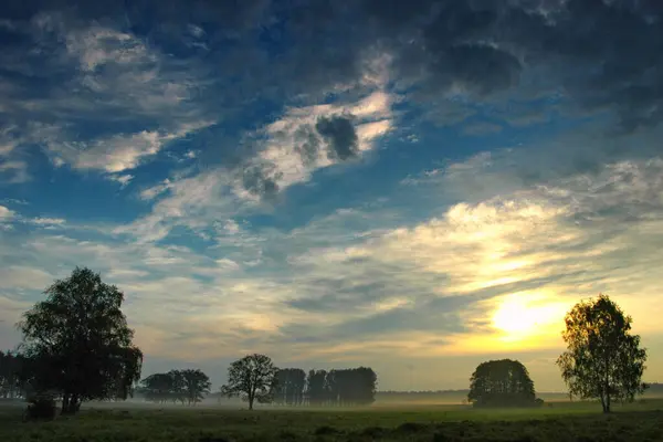 stock image early spring in the rural scenery of Germany's Havelland, where blooming flowers, budding trees, and verdant meadows paint a picturesque landscape, showcasing the serene beauty of nature awakening