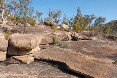 NSW ve Queensland sınırındaki Ulusal Parklar, Girraween, Bald Rock ve Sundown dahil. Bu parklar çarpıcı granit manzaralar, çeşitli bitki örtüleri ve faunalar ve engebeli doğal güzellikler arasında manzaralı yürüyüş yolları sunuyor.