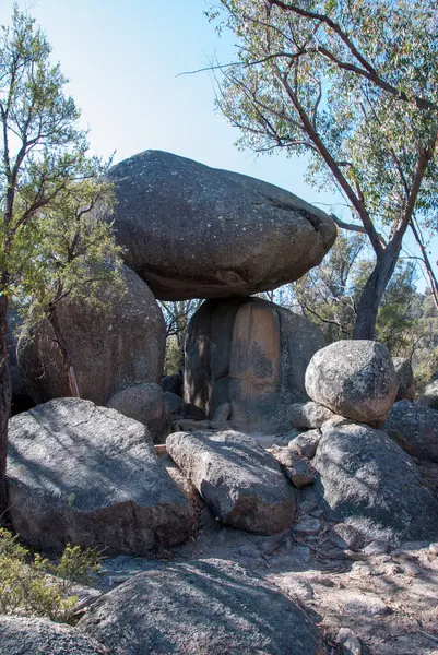 stock image National Parks at the border of NSW and Queensland, including Girraween, Bald Rock, and Sundown. These parks offer stunning granite landscapes, diverse flora and fauna, and scenic hiking trails amidst rugged natural beauty