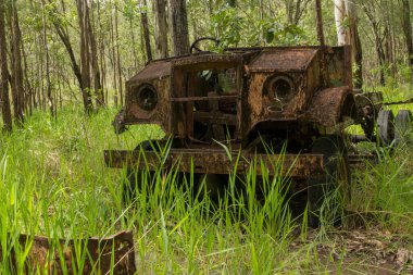 Avustralya, Atherton, FNQ yakınlarındaki çalılıklarda yürüyün. Orada huzurlu ve doğal bir ortamda çeşitli bitki örtülerini, doğal yaşamı ve manzaralı patikaları keşfedebilirsiniz.