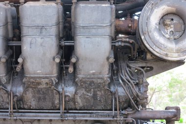 Herberton, Queensland 'daki bir açık hava müzesi olan Herberton Tarihi Köyü, 19. yüzyılın sonlarında bir teneke madencilik kasabasını canlandırıyor. 16 dönümlük bir alana yayılmış, 50 'den fazla yenilenmiş döneme ait bina ve Avustralya öncü yaşamını gözler önüne seren sergiler.