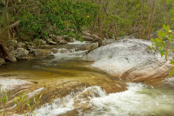 stock image Emerald Creek near Mareeba, FNQ, Australia. Enjoy the pristine waters, cascading waterfalls, and lush surrounding vegetation in this tranquil and picturesque setting