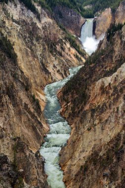 Yellowstone Büyük Kanyonu 'nda dramatik uçurumlar, çağlayan şelaleler ve canlı kaya oluşumları yer alıyor. Yellowstone Ulusal Parkı' nın çarpıcı doğal güzellikleri arasında yer alıyor.