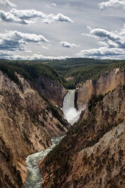 Yellowstone Büyük Kanyonu 'nda dramatik uçurumlar, çağlayan şelaleler ve canlı kaya oluşumları yer alıyor. Yellowstone Ulusal Parkı' nın çarpıcı doğal güzellikleri arasında yer alıyor.