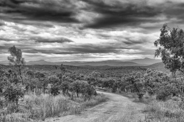 FNQ 'da taşra seyahatini gösteren siyah-beyaz fotoğraf, engebeli, uzak manzaraları ve Uzak Kuzey Queensland' daki maceranın özünü yakalar..