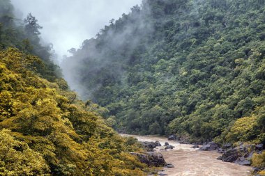 Barron Nehri, çağlayan şelaleler ve Avustralya 'nın FNQ, Cairns yakınlarındaki Barron Vadisi' ndeki yemyeşil yağmur ormanları. Kendinizi bu tropik cennetin güzelliğine daldırın. Bakir suların ve canlı yeşilliklerin nefes kesici bir doğal ortamda birleştiği yere.