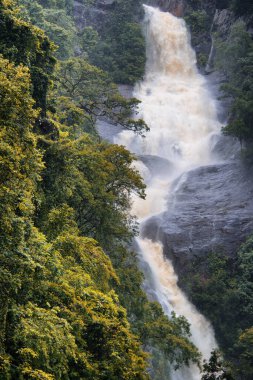 Cairns, FNQ, Avustralya yakınlarındaki Barron Gorge 'da nefes kesici Surprise Falls. Bereketli yağmur ormanlarının arasında çağlayan bu sakin şelale doğal güzelliği ve huzurlu çevresiyle büyülüyor.