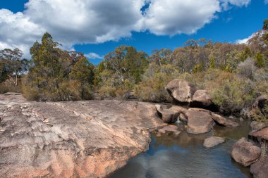 Girraween Ulusal Parkı, Güneydoğu Queensland, Avustralya 'da orman yürüyüşü macerası. Bu pitoresk doğal cennette granit çıkıntıları, yemyeşil ormanları ve kır çiçeklerinin yaydığı patikaları keşfedin.