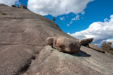 Girraween Ulusal Parkı, Güneydoğu Queensland, Avustralya 'da orman yürüyüşü macerası. Bu pitoresk doğal cennette granit çıkıntıları, yemyeşil ormanları ve kır çiçeklerinin yaydığı patikaları keşfedin.