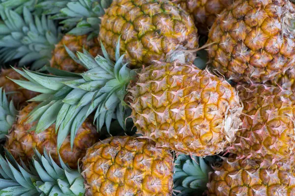 Avustralya 'nın FNQ kentindeki bir pazarda renkli taze ve egzotik ürünlerin sergilendiği tropikal meyve sergisi. Bu canlı piyasa sahnesi yerel kültürün ve tropikal bolluğun özünü yansıtıyor.
