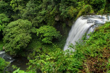 Avustralya, FNQ 'daki Atherton Tabloları' nın çeşitli manzaraları, yuvarlanan yeşil tepeler, yemyeşil yağmur ormanları, çarpıcı şelaleler ve nefes kesici tarım alanları nefes kesici ve huzurlu bir manzara yaratır.