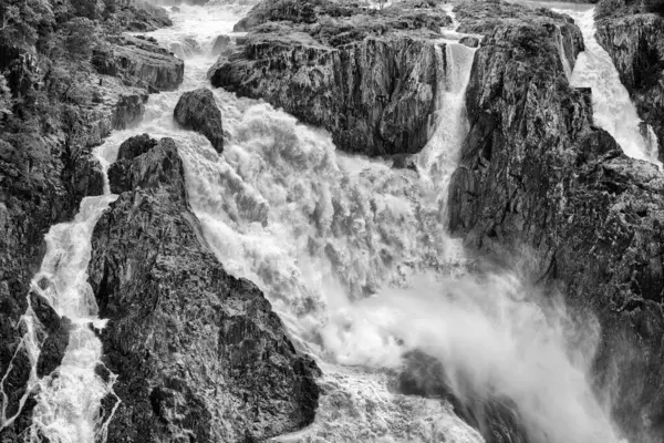 stock image the spectacular Barron Falls near Kuranda, FNQ, Australia, in full flow during the wet season. Marvel at the powerful cascade of water surrounded by lush rainforest, creating a breathtaking and dramatic natural spectacle