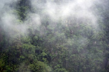 Kuranda, FNQ, Avustralya yakınlarındaki muhteşem Barron Şelaleleri yağmur mevsiminde tam akış halindedir. Bereketli yağmur ormanlarıyla çevrili su çağlayanı hayret verici ve dramatik doğal bir manzara yaratıyor.