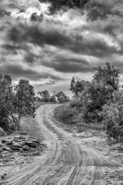 Avustralya, FNQ 'daki Mulligan Dağı yakınlarında engebeli toprak yollar. Dramatik uçurumlar, seyrek bitki örtüsü ve bu ikonik bölgenin saf güzelliği ile çevrili uzak kırsal araziyi deneyin.