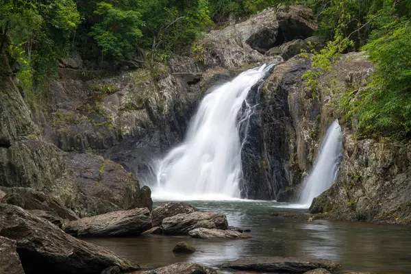 Cairns Bölgesi 'nin yemyeşil yağmur ormanı manzarası, FNQ, Avustralya. Yükselen ağaçların, yoğun yaprakların, canlı bitkilerin ve bu tropikal cennetteki vahşi yaşamın huzur dolu seslerinin tadını çıkarın.