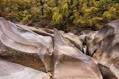 Cairns Bölgesi 'nin yemyeşil yağmur ormanı manzarası, FNQ, Avustralya. Yükselen ağaçların, yoğun yaprakların, canlı bitkilerin ve bu tropikal cennetteki vahşi yaşamın huzur dolu seslerinin tadını çıkarın.