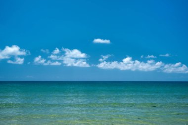 Avustralya, FNQ, Cape Tribulation yakınlarındaki Daintree Ulusal Parkı 'ndaki yağmur ormanlarının ve resiflerin eşsiz yakınlaşması. Bereketli tropikal yağmur ormanlarının el değmemiş mercan resifleriyle karşılaşması hayret verici doğal bir manzara yaratıyor.