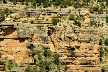 Büyük Kanyon Ulusal Parkı, Arizona, ABD 'nin Güney Halkası' ndan hayranlık uyandırıcı görüntüler. Dramatik uçurumlara, geniş manzaralara ve bu ikonik doğa harikasının nefes kesici güzelliğine hayran kaldım.