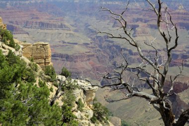 Büyük Kanyon Ulusal Parkı, Arizona, ABD 'nin Güney Halkası' ndan hayranlık uyandırıcı görüntüler. Dramatik uçurumlara, geniş manzaralara ve bu ikonik doğa harikasının nefes kesici güzelliğine hayran kaldım.