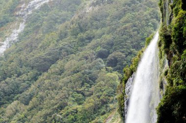 Yeni Zelanda 'nın Güney Adası' ndaki Milford Sound 'da nefes kesici bir manzara. Bu çarpıcı fiyortta yüksek uçurumlar, çağlayan şelaleler ve bereketli yağmur ormanları var. Huzurlu ve resimli bir doğa deneyimi sunuyorlar.