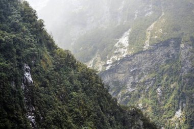 Yeni Zelanda 'nın Güney Adası' ndaki Milford Sound 'da nefes kesici bir manzara. Bu çarpıcı fiyortta yüksek uçurumlar, çağlayan şelaleler ve bereketli yağmur ormanları var. Huzurlu ve resimli bir doğa deneyimi sunuyorlar.