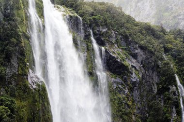 Yeni Zelanda 'nın Güney Adası' ndaki Milford Sound 'da nefes kesici bir manzara. Bu çarpıcı fiyortta yüksek uçurumlar, çağlayan şelaleler ve bereketli yağmur ormanları var. Huzurlu ve resimli bir doğa deneyimi sunuyorlar.