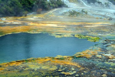 Rotorua, Yeni Zelanda yakınlarındaki Wai-O-Tapu Termal Harikalar Diyarı 'nın canlı ve dünya dışı manzarası. Bu jeotermal park renkli kaplıcalara, kaynayan çamur havuzlarına ve buharlı bacalara sahip, eşsiz ve büyüleyici doğal bir manzara yaratıyor.