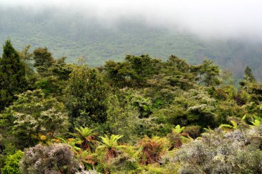 Rotorua, Yeni Zelanda yakınlarındaki Wai-O-Tapu Termal Harikalar Diyarı 'nın canlı ve dünya dışı manzarası. Bu jeotermal park renkli kaplıcalara, kaynayan çamur havuzlarına ve buharlı bacalara sahip, eşsiz ve büyüleyici doğal bir manzara yaratıyor.