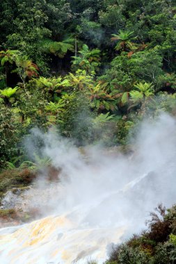 Rotorua, Yeni Zelanda yakınlarındaki Wai-O-Tapu Termal Harikalar Diyarı 'nın canlı ve dünya dışı manzarası. Bu jeotermal park renkli kaplıcalara, kaynayan çamur havuzlarına ve buharlı bacalara sahip, eşsiz ve büyüleyici doğal bir manzara yaratıyor.