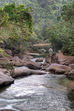 Büyük Cairns Bölgesi, FNQ, Avustralya 'nın yağmur ormanlarında çağlayan şelalelerle dolu yemyeşil orman ve vahşi dereler. Bu tropikal cennet canlı yeşillik, dingin su özellikleri ve büyüleyici bir doğal deneyim sunar.