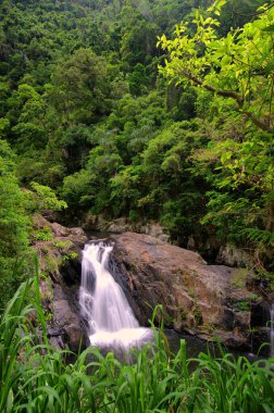 Cairns yakınlarındaki Crystal Cascades, FNQ, Avustralya. Bu gizli mücevher çağlayan şelaleler, kristal berraklığında yüzme çukurları ve yemyeşil yağmur ormanı çevresi, sakin ve resim gibi bir ortam yaratıyor.