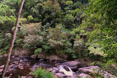 Cairns yakınlarındaki Crystal Cascades, FNQ, Avustralya. Bu gizli mücevher çağlayan şelaleler, kristal berraklığında yüzme çukurları ve yemyeşil yağmur ormanı çevresi, sakin ve resim gibi bir ortam yaratıyor.