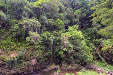 Cairns yakınlarındaki Crystal Cascades, FNQ, Avustralya. Bu gizli mücevher çağlayan şelaleler, kristal berraklığında yüzme çukurları ve yemyeşil yağmur ormanı çevresi, sakin ve resim gibi bir ortam yaratıyor.