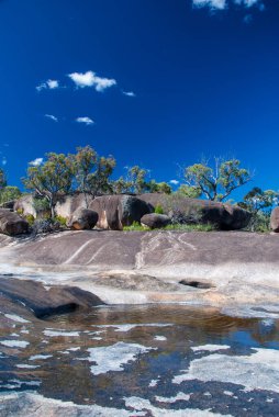 Girraween Ulusal Parkı 'ndaki Bald Rock Creek, Güneydoğu Queensland, Avustralya. Bu manzarada berrak sular, granit kayalar ve çeşitli bitki örtüleri bulunur. Doğa yürüyüşleri ve açık hava keşifleri için mükemmeldir.